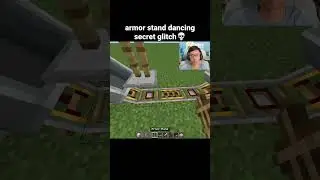 Minecraft Armor Stand Dance Moment