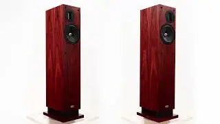 ProAc Response D20R - Rosewood