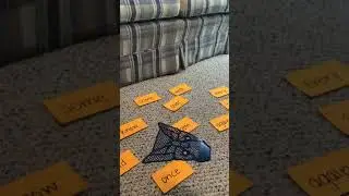 Sight Word Swat with Ms. Moore