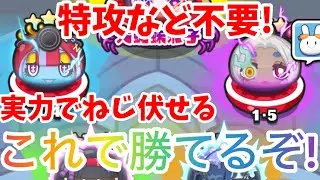 【ぷにぷに】1-4と1-5は特攻なくても倒せる！常識にとらわれずに勝ち切る！