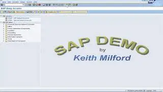 SAP SD Quick Ref - Contact Person VIP