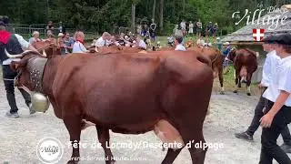 🔴En Direct…Descente d’Alpage À l'occasion de la fête de Lormay au Grand Bornand (Aravis-Haute Savoie