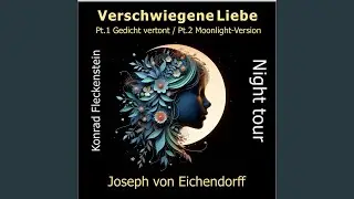 Pt.1 Gedicht vertont