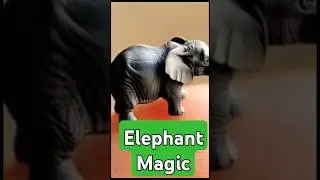 &ldquo;Tiny Elephant on a Finger: A Magical Wonder&rdquo; #animalshorts #tinyelephant #trending