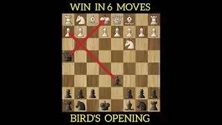 Bird's Opening | Chess Openings | Brilliant Trap