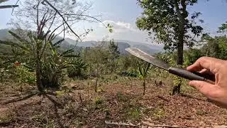 HUAN KAL CUM CHAW EI | JANUARY 26 2026