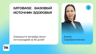 Основа MITO  | Алина Серебренникова | Программы VILAVI