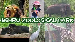 NEHRU ZOOLOGICAL PARK||HYDERABAD||COMPLETE TOUR