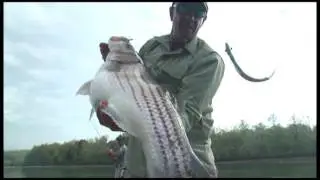 MHB Stripers - The Hunt For Big Fish