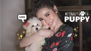 EXPLORING CARTIMAR PH + WE GOT A PUPPY!!