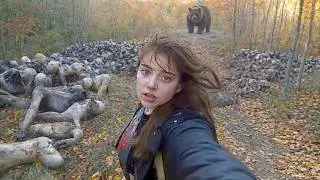 🔥 Вы Должны Это Увидеть! Эти Случаи с Животными Невозможно Забыть
