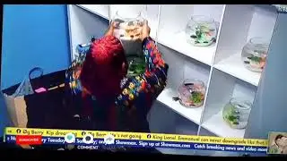House mates return their fishes[ angel is moody#bbn