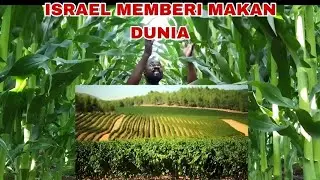  ISRAEL!! KECANGGIHAN TEKNOLOGI PERTANIAN ISRAEL  memberi MAKAN DUNIA!