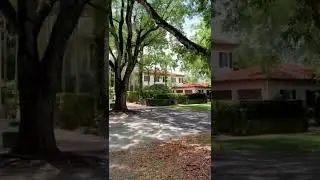#coralgables #lushgreen #neighborhood #miami #minishark #walkingtour #walking #miamivlog #miamivibe