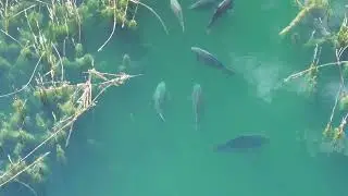 Some chunks from above at Tilts Bridge Community Pond