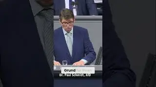 Angstmacherei & Proteste: Die Strategie hinter dem Antrag #shorts
