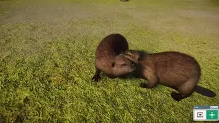 Planet Zoo (PC)(English) #115 7 Minutes of North American beaver (North America Animal DLC)