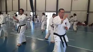 dojo nitai chile iogkf chile