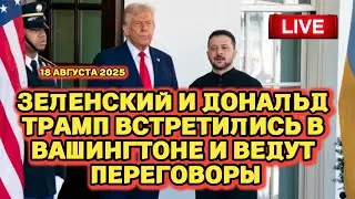 LIVE: Владимир Зеленский и Дональд Трамп встретились в Вашингтоне и ведут переговоры - 18 августа