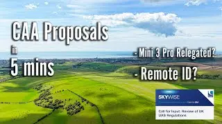 CAA Call for Input Main Points: How to Respond in under 10 Mins