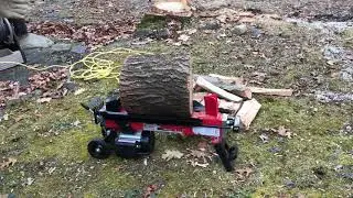Demo: 5 ton electric log splitter from Harbor Freight