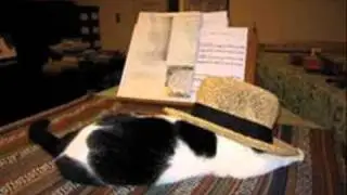 ミュージカル　キャッツ　NO２０　ねこからのごあいさつ