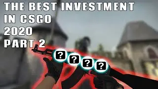 THE BEST INVESTMENT IN CSGO 2020 UPDATED *Huge Profit*