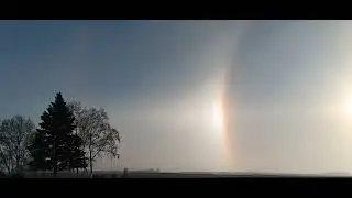 Sun Doggity