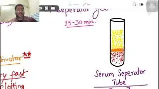 V4. Blood Collection Vials Series | GOLD & ORANGE Vial Explained