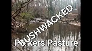 Parkers Pasture-Buschwacked