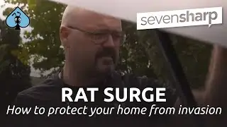 rat surge how to stop a home invasion