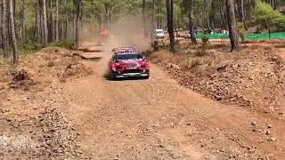 Rally of Turkey SHAKEDOWN #wrc #rally