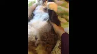Leg Thing
