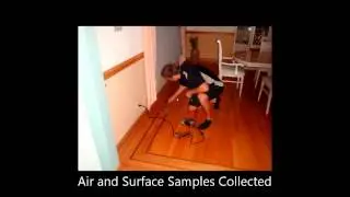 Fort Lauderdale Mold Remediation