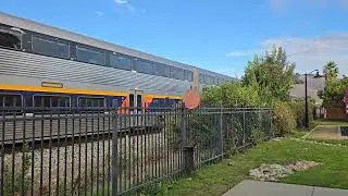 Late Amtrak Capitol Corridor #741 at Niles Depot Museum with CDTX #2108 SC-44 and #8309 Cab Car