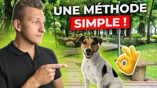 2 exercices Faciles pour apprendre le RAPPEL &agrave; ton chien ! M&eacute;thode Simple !