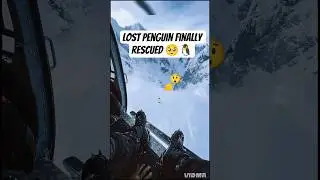 Lost penguin rescued by helicopter | emotional ai rescue short #penguin