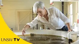 Emma Johnston: Understanding Australia's fragile coastline