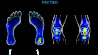 Stress Maps Action Replay