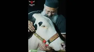 CALL: ‪03248285533‬💛💛 🐝 B E E 🐝💛💛BEAUTY SPEAK IT SELF..!!FACE PAR HE FIDDAA HOJAO BS