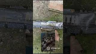 Видео с канала @Bori4ello, фото мое. #stalker #stalker2 #2025 #meme #memes #мем #мемы #funny