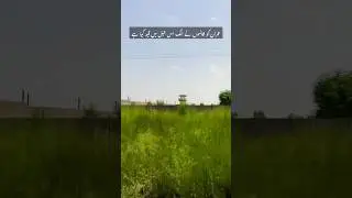 Attock Jail Imran khan new video prisoner No.804 #attockjail #imrankhaninjail #imrankhan #pti