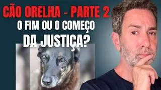 CÃO ORELHA - ADOLESCENTE MATOU SOZINHO O CACHORRO? E O CARAMELO, QUEM AFOGOU? E OS ADULTOS? PARTE 2