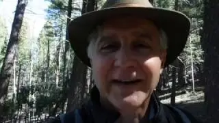 Thoughts while walking in the woods about Product and Project Managers