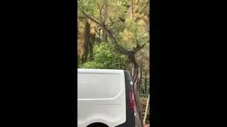 Two ambulances in Athens: 1 e.k.a.b Mercedes siren yelp-wail-off siren [check the description first]