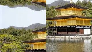 2026/1/25：金閣寺：村田夏帆：ラベル：ツィガーヌ：ローマ：2025/11/22