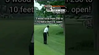 Only Tiger could have pulled this off&hellip;