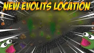 Cave | EVOLITS NEW LOCATION!!! (Map Showcase)