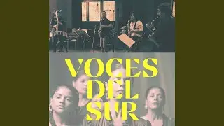 Voces del Sur