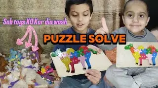 Let's solve puzzle  ||  Sab Animal Toys KO Kar dia Wash || 😁    bzyfamilyvlogs